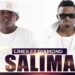 All Linex Music Salima X Ft Diamond Song: Easy Download Guide