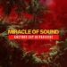 Another Day In Paradise Miracle Of Sound: Download This Masterpiece