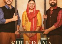 Rdx Punjabi Movie Download Filmyzilla: The Ultimate Guide for Movie Fans