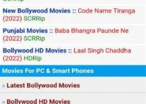 rdx punjabi movie download mp4moviez: Your Ultimate Guide for Offline Action