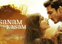 Sanam Teri Kasam Malayalam Subtitle: Ultimate Guide to Offline Movie Downloads