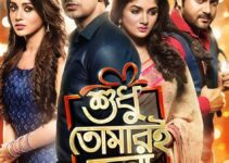 Skymovieshd in Bengali Movie Download: Top Guide for Easy Offline Collections