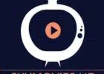 Skymovieshd Marathi Movies Download: 5 Best Ways to Build Your Collection