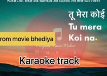 Tu Mera Koi Na Karaoke MP3 Download: The Ultimate High-Quality Guide